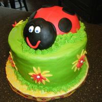 Ladybug Cake This is a chocolate cake with peanut butter chocolate chip filling (thanks patticakesnc!) and buttercream frosting. Ladybug is cherry cake...