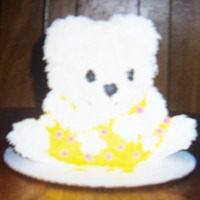 Sisters Teddy Cake This was made for my sister who loved teddy bears..