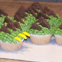 Old Swampy Adapted from Hello Cupcake book - buttercream icing, chocolate graham crackers cut into triangles, marshmallow eyes, and of course ......