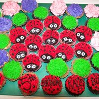 Ladybugs In The Foliage Buttercream icing, Hershey's special dark icing for the black (no black dye), flowers and grass. Used edible eyes.