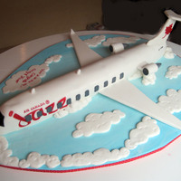 Airplane Cake This cake was for a wedding party. Its about 35 inches long, by 32 inches wide.