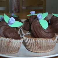 Cc my first cupcakes