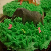 Safari Cupcake 