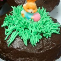Easter Cupcake Chocolate fudge cupcake cover with chocolate fudge icing..grass are from butter cream icing