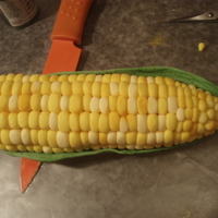 Corn Corn on cob