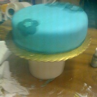 1St Cake Fondant class.