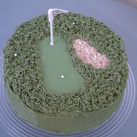 Golf Course Cake Thanks to all the ideas I found in here to make this cake! Chocolate stout cake, chocolate buttercream and choc/coffee ganache filling.