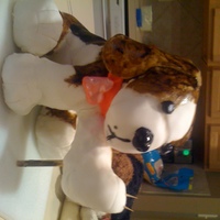 Puppy With Butterfly - Crispy Covered With Fondant This was a puppy that was made to look like a favorite stuffed animal. It was made out of crispy treat and then covered with fondant. It...