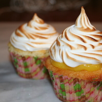 Lemon Meringue Cupcake 