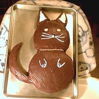 Picturenew_House_From_Pmi_099.jpg I used to make my cat a cake every year for her birthday until I gave her to my son.