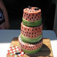 Watermelon Cake For our neighborhood blockparty. My 7 year old daughter insisted that the cake have ants and made them herslef. Got a little bumped up...
