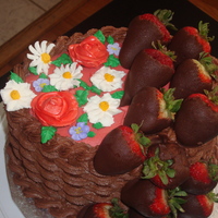 Strawberries & Chocolate 
