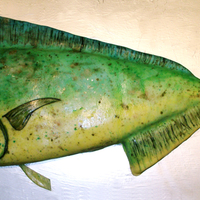 Dolphin Fish A co worker asked if I would make this for our Public Services director for his birthday. She said, just make a "fish" since he...