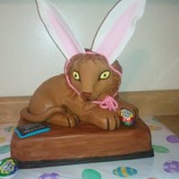 Cadbury Easter Bunny Tryouts Lion from the Cadbury tryouts.