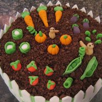 How Does Your Garden Grow?? Brown Sugar Cake, BC & Fudge icing, Chocolate cookies for dirt, and fondant veggie's. (My 1st 3D anything!!! This is for my Father...