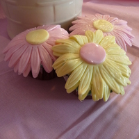 Daisy Cupcakes Daisy cupcakes with lots of glitter to make them sparkle.