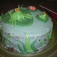 Frog Cake My first cake. It turned out o.k. but I hope to get better with practice & time. It is frog and frog jr. chilling on a lilypad!!