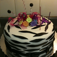 Zebra Style 40Th Year 