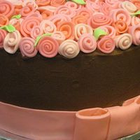 Wendy's Wedding Cake 9 in chocolate with choc BC. Fondant ribbon roses and GP bow and ribbon. Relative got married by the JP and had a small get together...