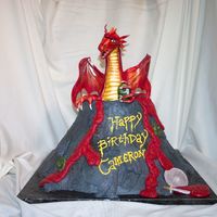 Fiery Dragon This is a layerd cake volcano covered in grey buttercream and royal icing lava with orange, red, and yellow edible glitter. The dragon is...