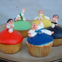 Tae Kwon Do Cupcakes This was my first attempt at fondant covered cupcakes and also at making fondant figurines to top them. I'd put figurines on cakes...