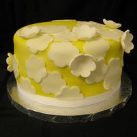 Yellow With White Applique Flowers This cake was inspired by a cake from Michelle Doll Cakes adapted for a one tier Mother's Day cake. The cake is white cake with a...