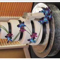 Simple Round Cake Done for a VERY particular bride, she wanted no decoration but the flowers and ribbon, which meant that the fondant had to be perfect. I...