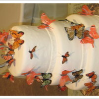 Butterfly Cake Just a plain cake with swirls, and butterflies everywhere!