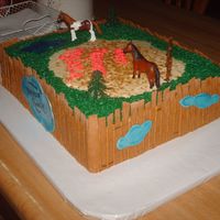 Dreamer Ranch This cake I did for a little girls birthday. She loves horses and her new horse is named Dreamer. Fencing is MMF, grass is BC, water is...