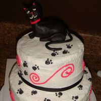 Siena_B-Day_Cake_2009_3.jpg black fondant cat