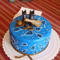Cowboy Cake 