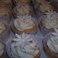 Daisy Cupcakes brought to work for two of my coworker's birthdays. they are strawberry champagne cupcakes with vanilla buttercream and topped with a...