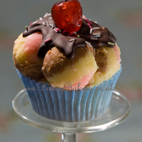 Neopolitan Sundae Cupcake Vanilla Cupcake, with nutella, vanilla and strawberry striped buttercream, and a dark chocolate top with sprinkles. Glace cherry is stalked...