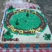 Jog A Thon Race Track School fundraiser- biggest cake I've done- 2 12x18 pans, double layer. One was spice cake with pumpkin filling and one was my...