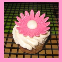 Daisy Cuppie Very simple cuppie with a fondant pink daisy