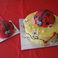 Lady Bug Cake And Smash Cake 