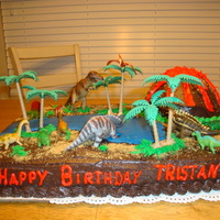 Tristan's Dinosaur Cake This is a 12 x 18 chocolate cake and iced in chocolate buttercream. The volcano is a chocolate cake baked in the Wilton doll pan. The dirt...