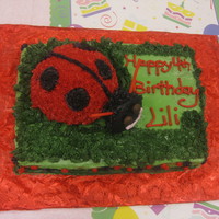 Ladybug Cake Ladybug made using the Wilton ball pan. Frosted all in BC with straw antennas and candy eyes.