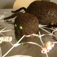 Halloween Spider For my son's Halloween party at the kindergarten.