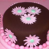 Wilton Fondant & Gumpaste Class Final Cake Chocolate Cake with Chocolate Peanut Butter Buttercream. Cake covered in fondant and gumpaste daisies. I later added pearl dust to the...