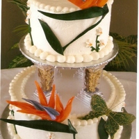 Bird Of Paradise Two-tier bird of paradise birthday celebration