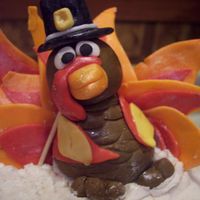 Tukey Topper Turkey Topper!