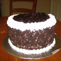Black Forest Cake My first attempt at a black forest cake. It's a 3 layer cake with bing cherries on top. Made this for a family reunion. It was a big...