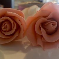 First Full Realistic Rose these were my first full fledged attempts at a tonedna rose. i think i did an okay job for my first full rose :)