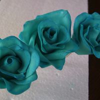 Dusted Blue Roses (Beginner) thank you again edna for the great youtube turtorial.getting there slowly, but surely! once i get the jem cutter hopefully i'll get a...