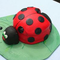 Ladybug Cake This was a fun cake to make and it was a hit with the birthday girl.