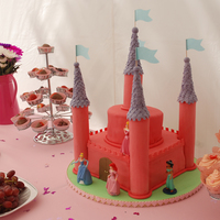 Disney Princess Castle Disney Princess castle