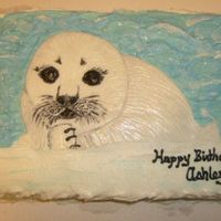 Baby Seal Birthday Cake 