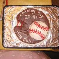 For My Sons Team Opening day ceremony auction cake for 2008 baseball season
