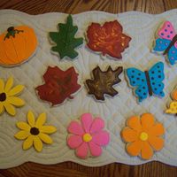 Just For Fun Cookies additional cookies. These all were made just to try out some new cutters and fall cookies